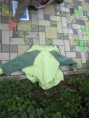 /album/pondeli1/img-7768-jpg/